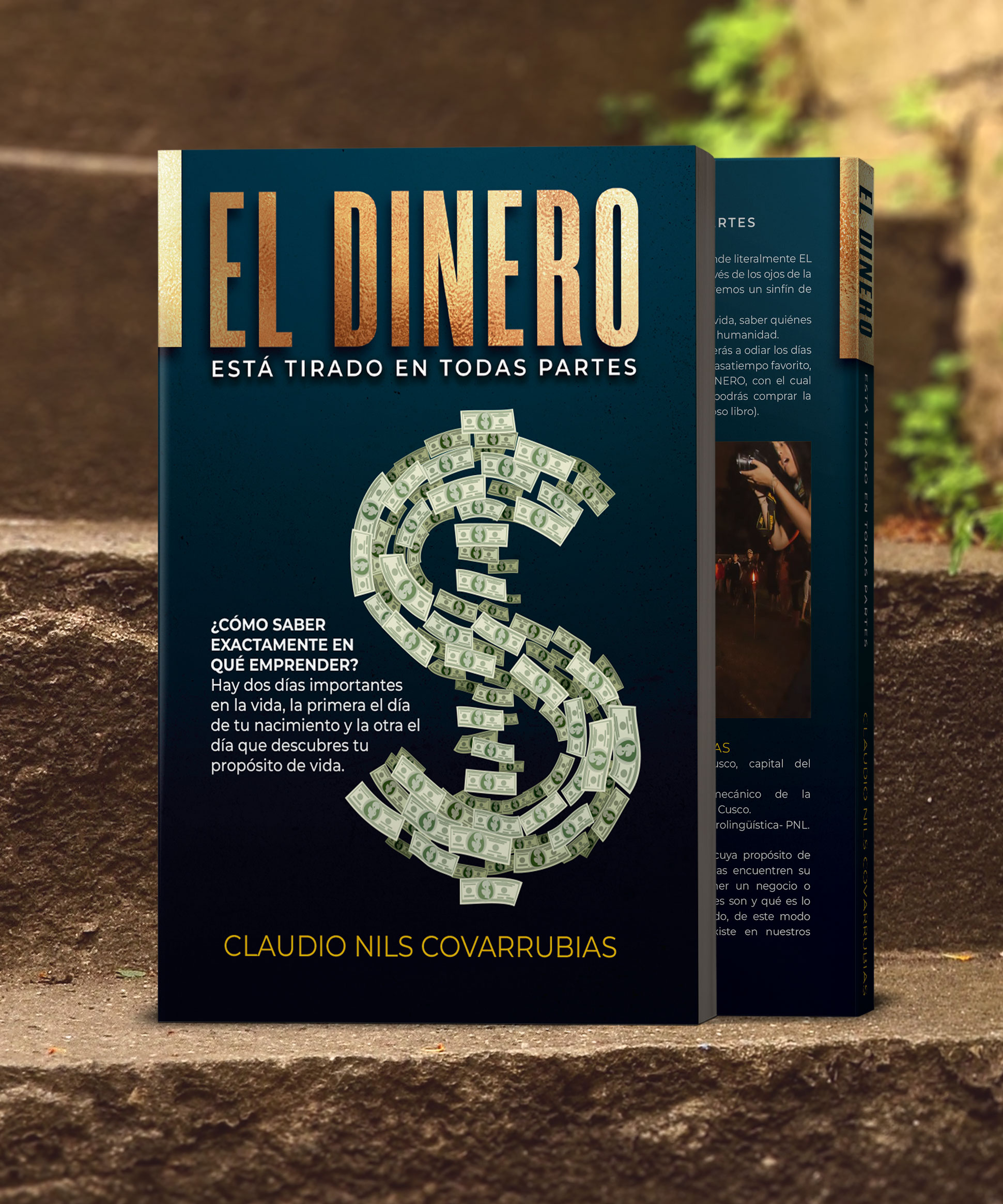 Libro-El-Dinero2