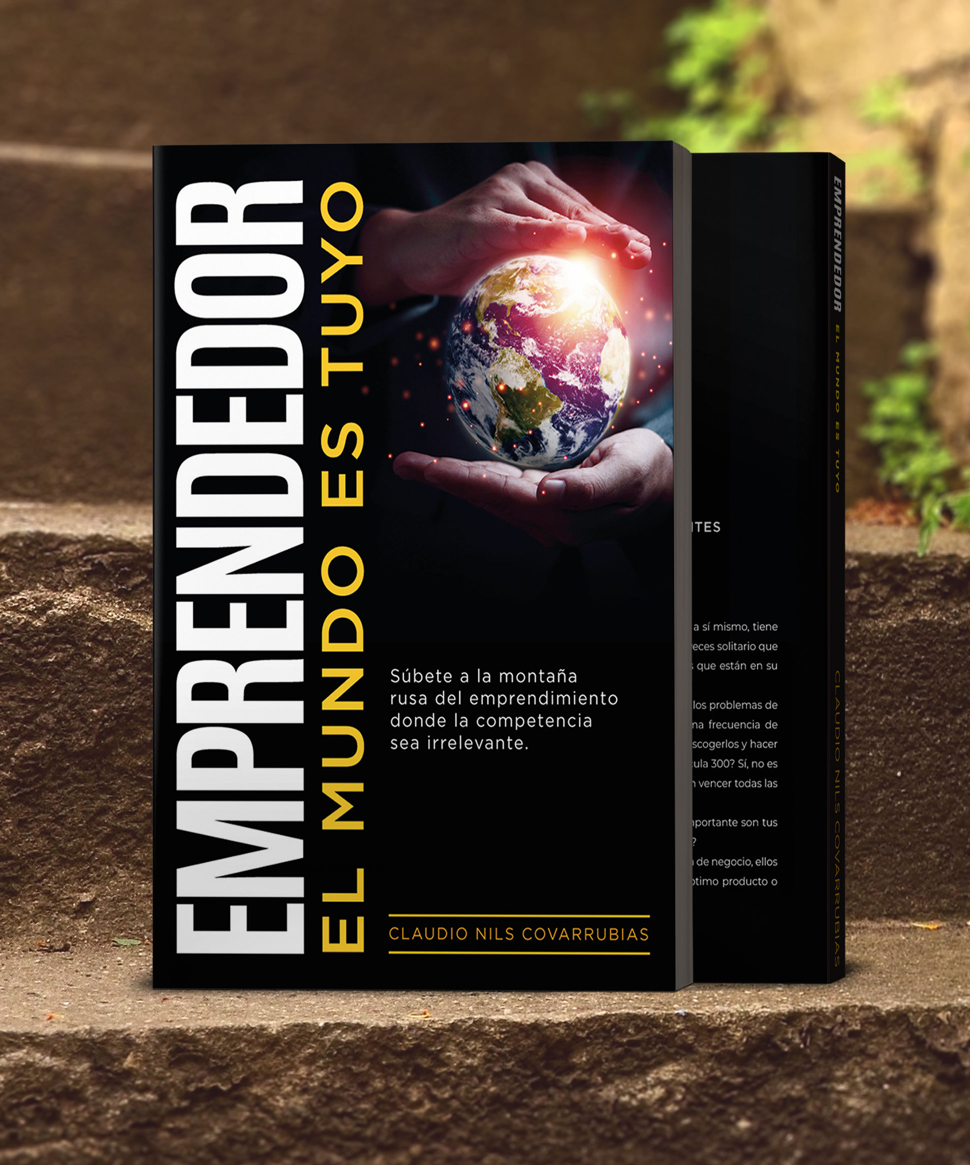 Libro-Emprendedor2